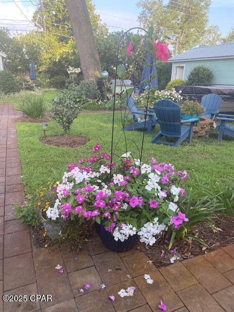 view of yard featuring a patio area