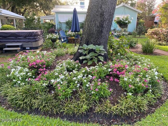 view of yard featuring a hot tub