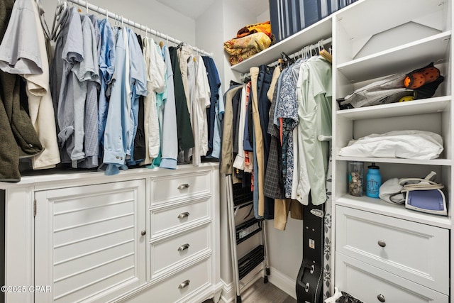 view of walk in closet