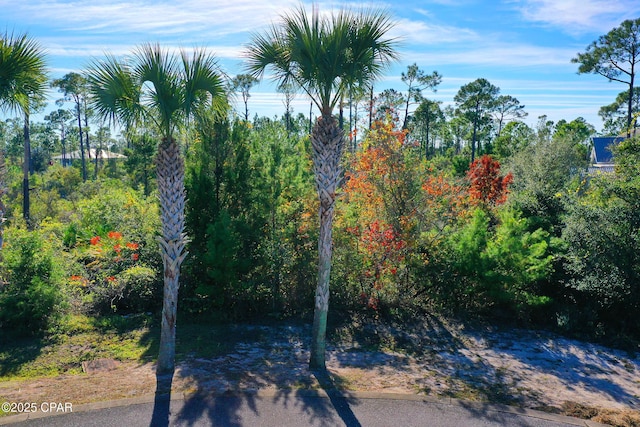 Listing photo 2 for 109 Conch St, Port St Joe FL 32456