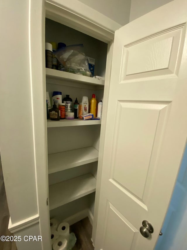 view of pantry