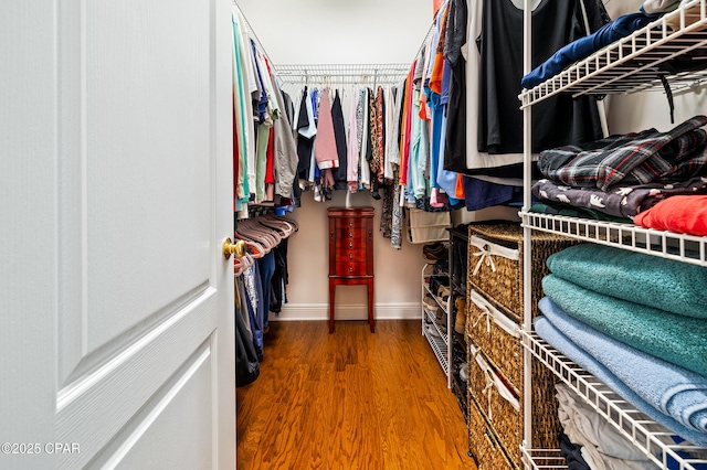 spacious closet featuring wood-type flooring