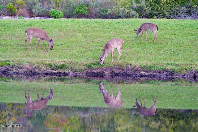 view of yard with a water view