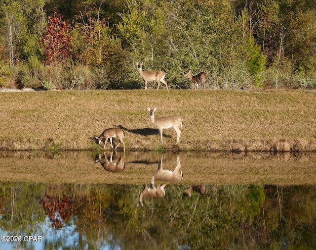 view of yard featuring a water view