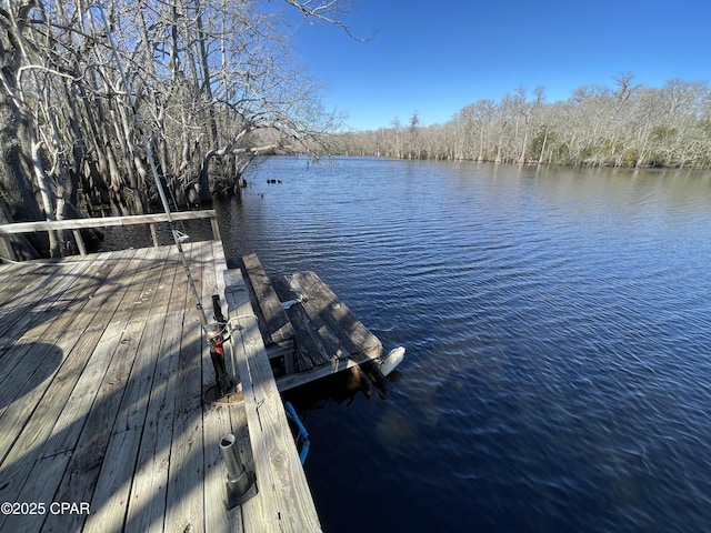 view of dock with a water view