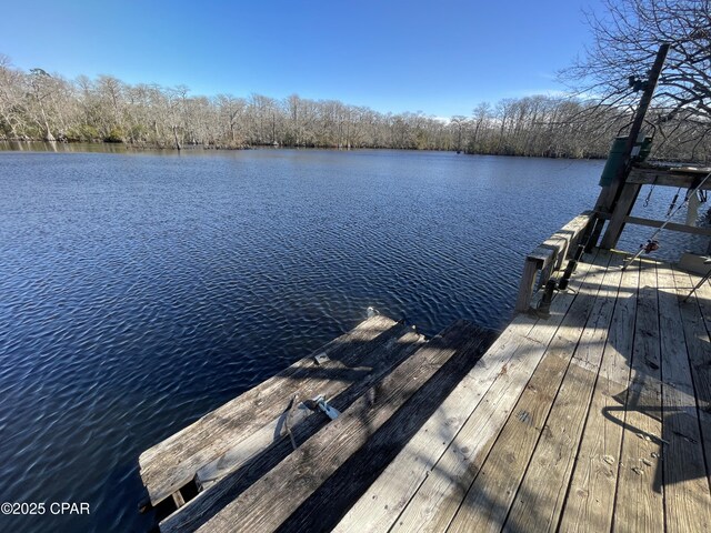 dock area with a water view