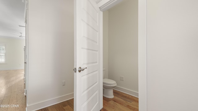 bathroom with hardwood / wood-style flooring and toilet