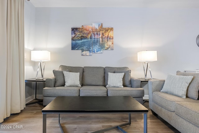 living room with hardwood / wood-style flooring