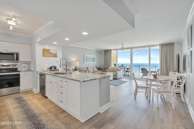 kitchen featuring decorative backsplash, expansive windows, ornamental molding, and stainless steel appliances