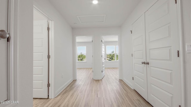 hall with baseboards, attic access, and light wood-style floors