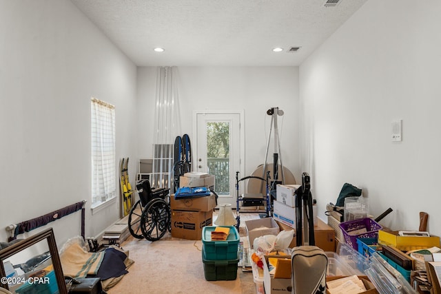 miscellaneous room with a textured ceiling, carpet, and a healthy amount of sunlight