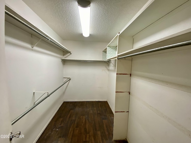 walk in closet with dark hardwood / wood-style flooring