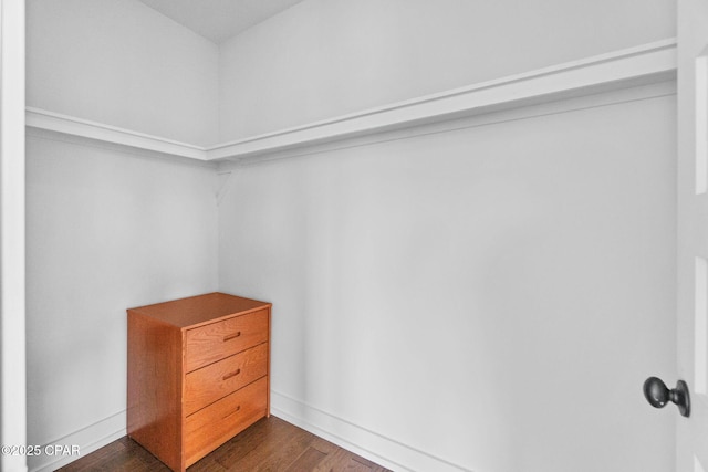 walk in closet featuring dark hardwood / wood-style floors