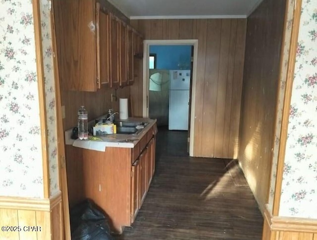 kitchen featuring white fridge, sink, and dark wood-type flooring