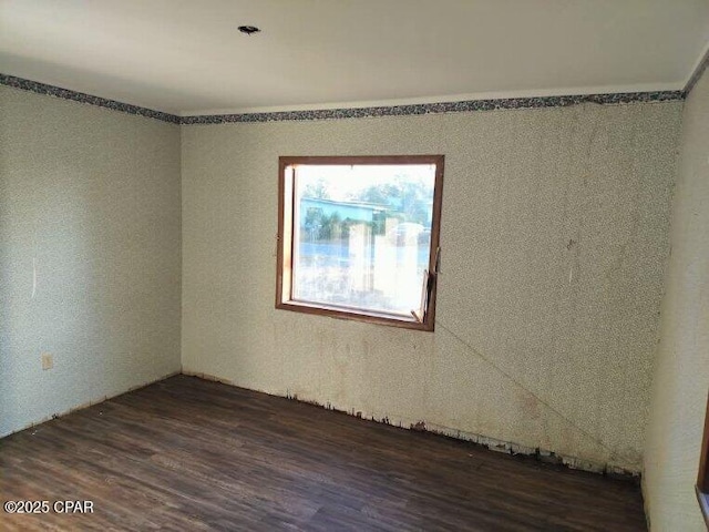 spare room with dark wood-type flooring