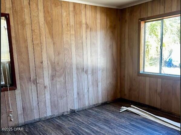 unfurnished room featuring dark hardwood / wood-style flooring and a wealth of natural light