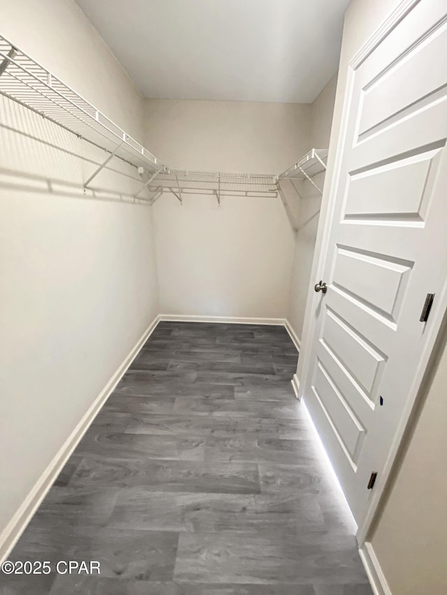 walk in closet featuring dark wood-type flooring