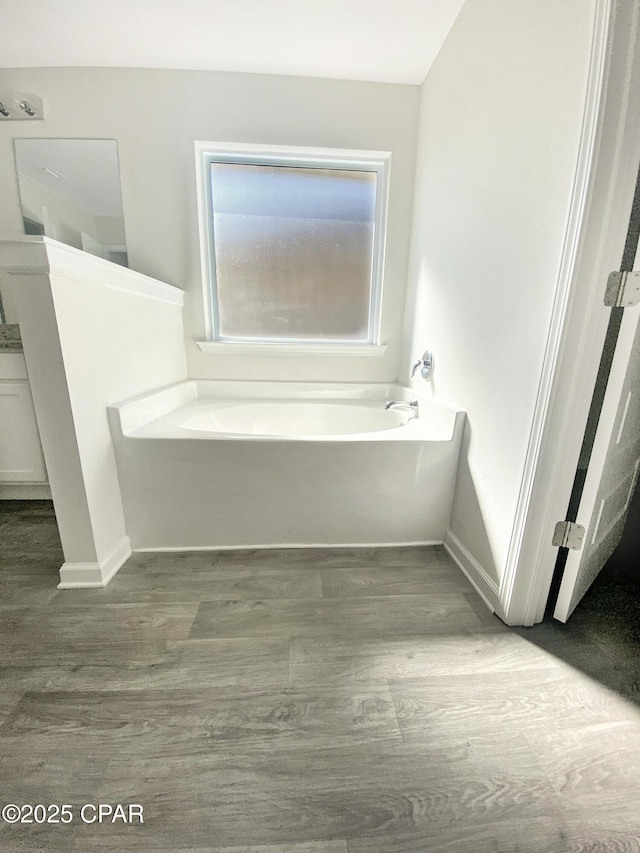 bathroom featuring a washtub and wood-type flooring