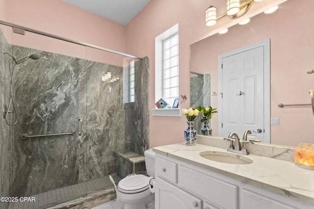 bathroom featuring toilet, a stall shower, and vanity