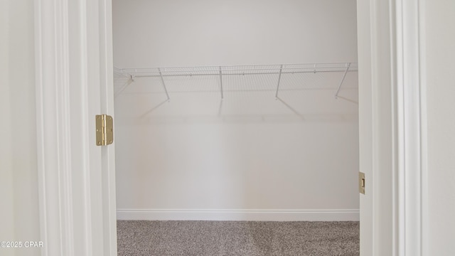 spacious closet with carpet