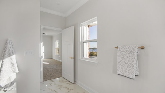 bathroom featuring crown molding