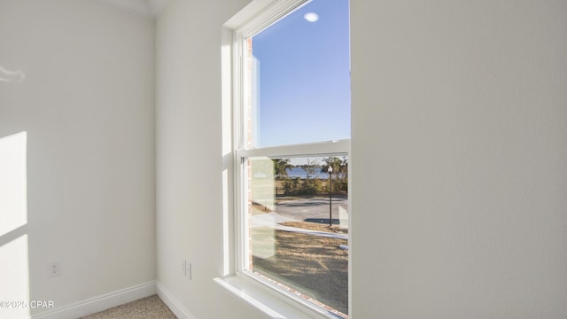 interior details with carpet floors