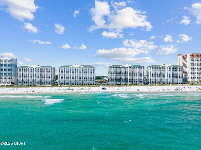 view of water feature featuring a beach view