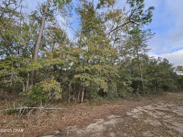 Listing photo 2 for TBD Paradise Lakes Rd, Chipley FL 32428