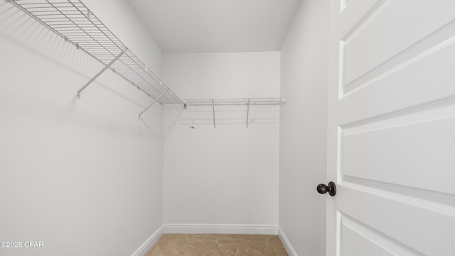 spacious closet with light colored carpet