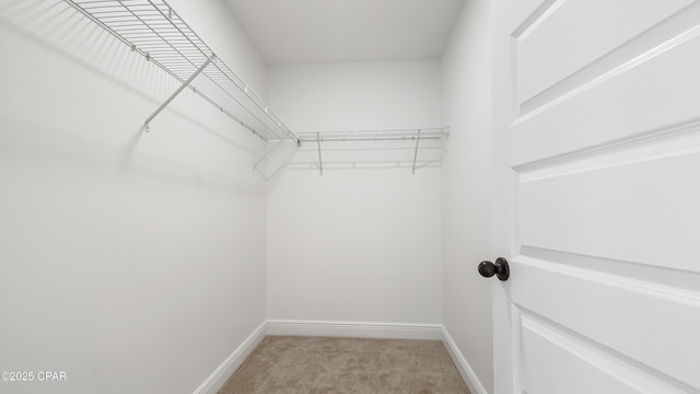 spacious closet with carpet