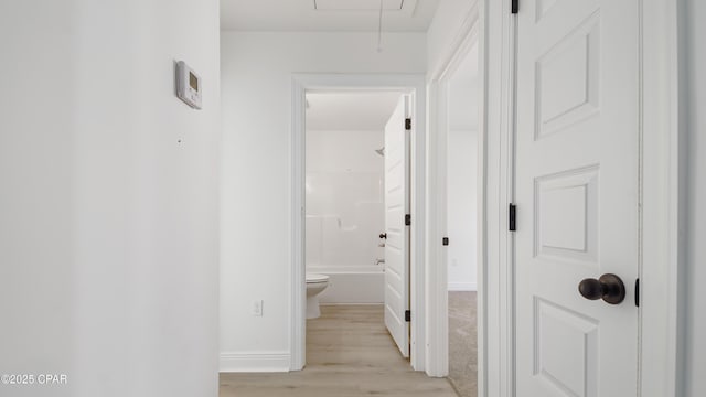 corridor featuring light hardwood / wood-style flooring