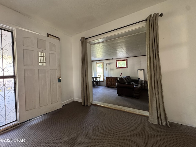 3109 Union Hill Rd, Marianna, FL 32446 - entrance foyer with dark colored carpet