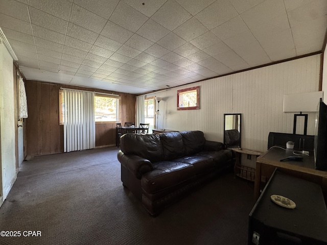 3109 Union Hill Rd, Marianna, FL 32446 - living area with carpet and wooden walls