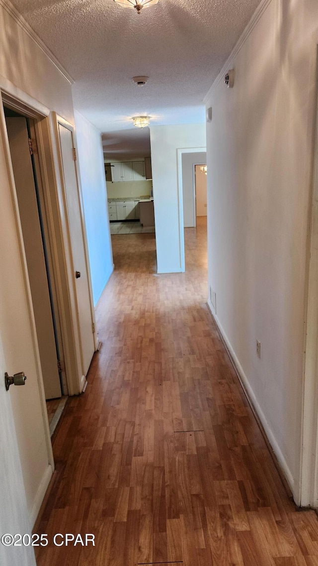 hallway with crown molding, wood-type flooring, and a textured ceiling