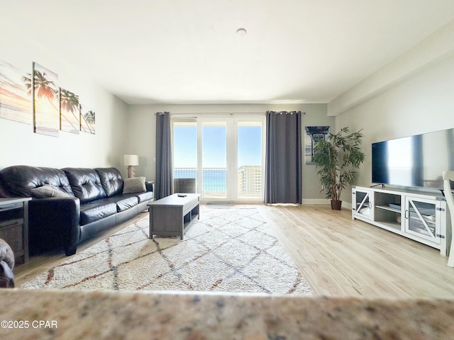 living room with hardwood / wood-style flooring