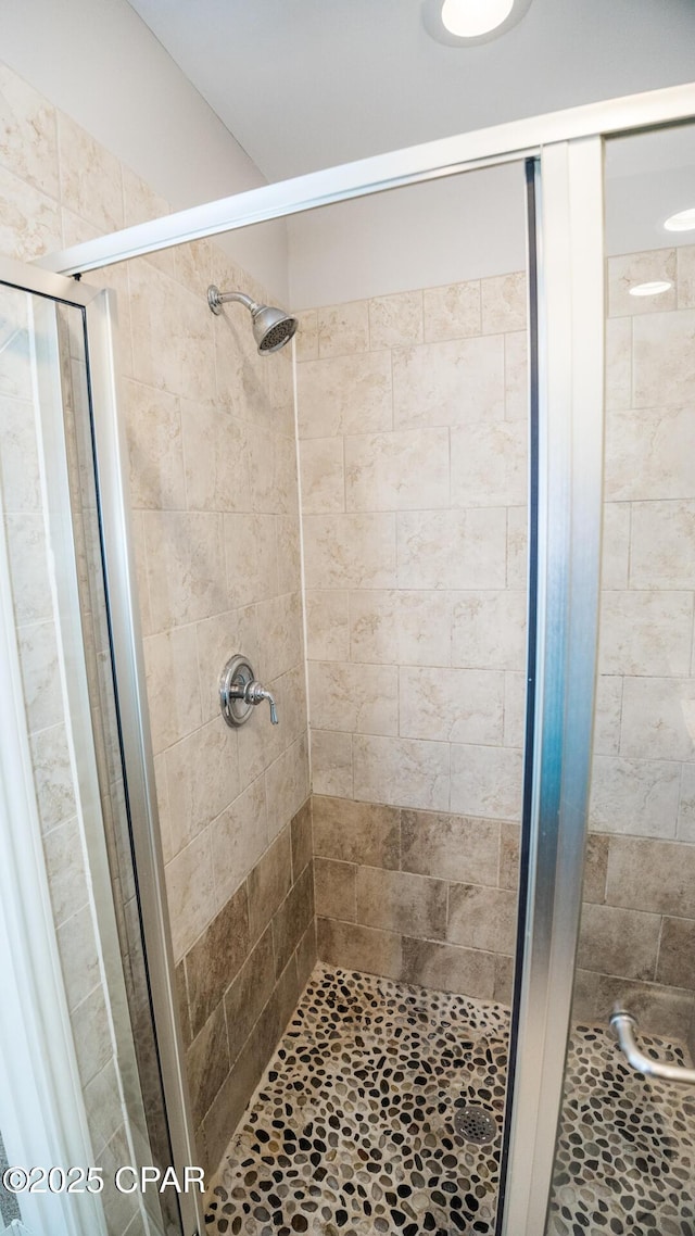 bathroom with a shower with shower door