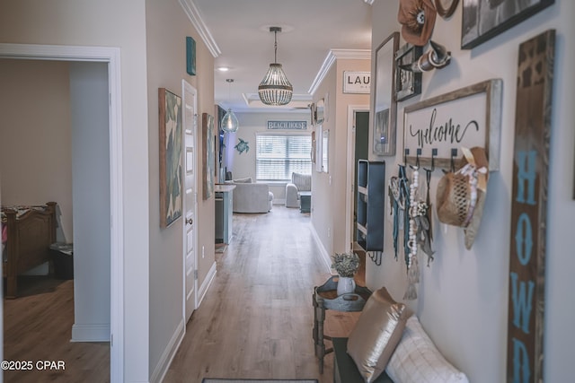 corridor featuring baseboards, ornamental molding, and wood finished floors