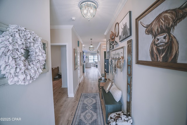 hallway featuring a notable chandelier, crown molding, light wood-style floors, and baseboards