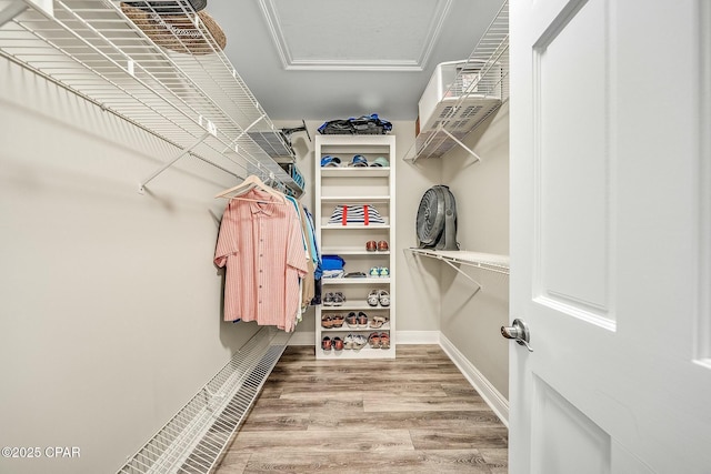 spacious closet featuring hardwood / wood-style flooring