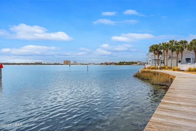 dock area with a water view