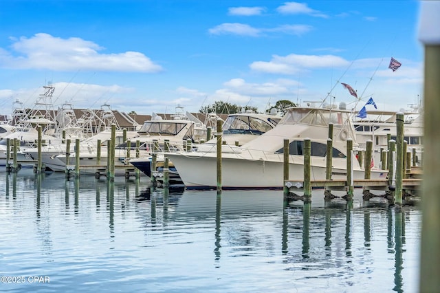 view of dock with a water view