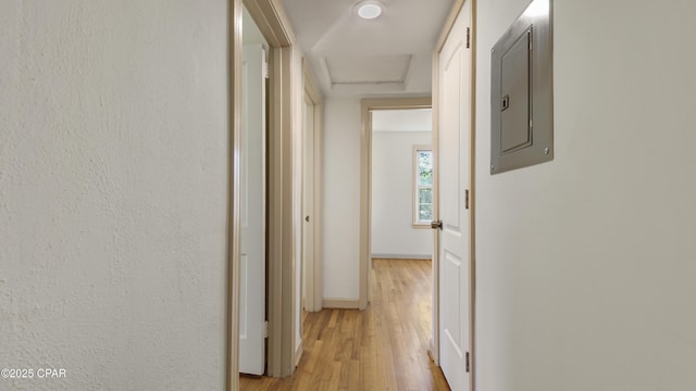 hallway with electric panel and light wood-type flooring