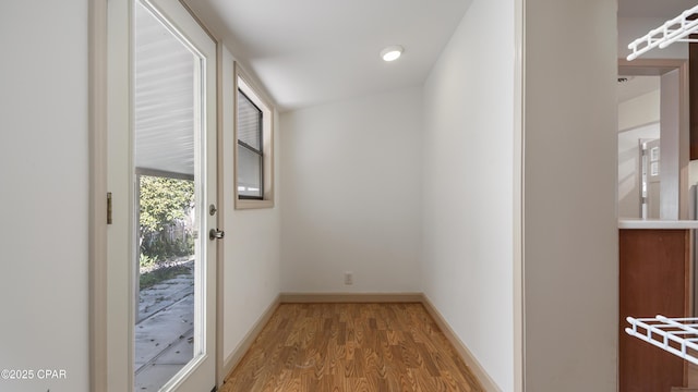 entryway featuring wood-type flooring