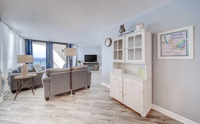 living room with light hardwood / wood-style flooring