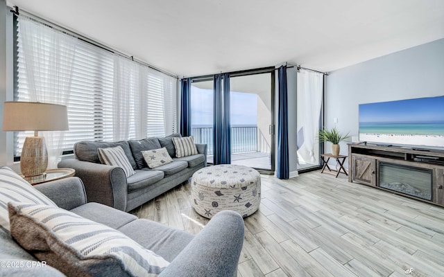 living room with light hardwood / wood-style floors