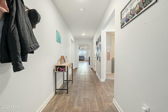 hall featuring wood-type flooring