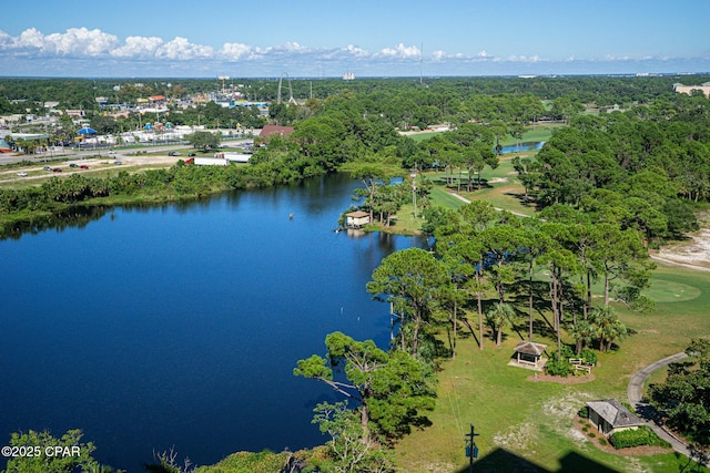 bird's eye view with a water view