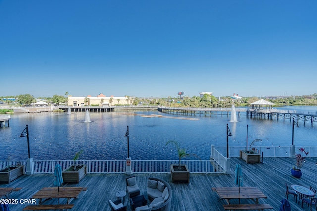 dock area with a water view