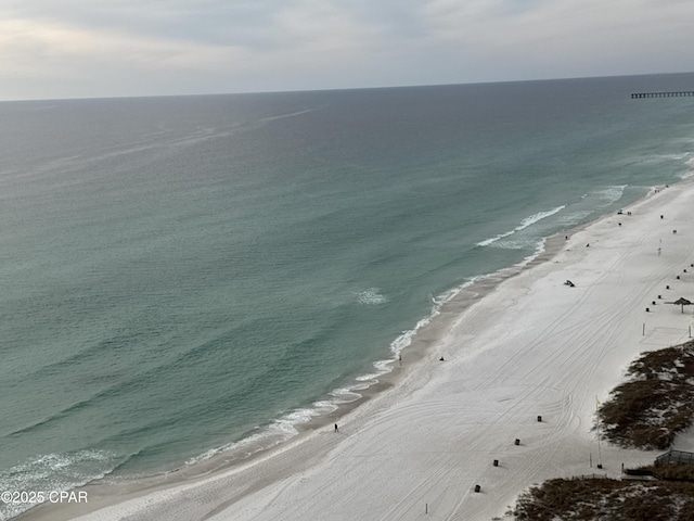 water view featuring a beach view