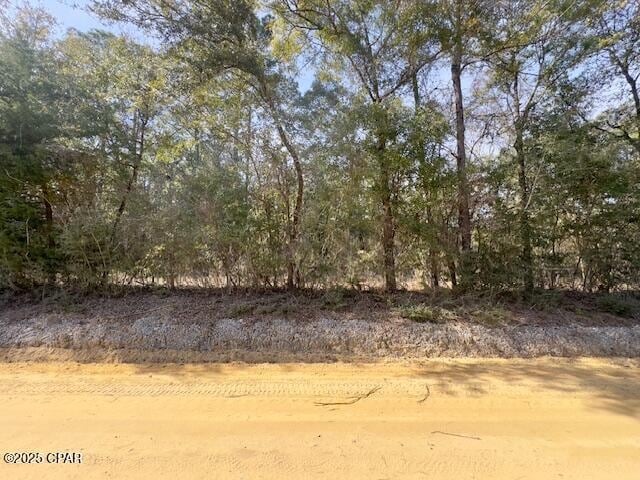 XXX Bryant Bay Rd, Caryville FL, 32427 land for sale